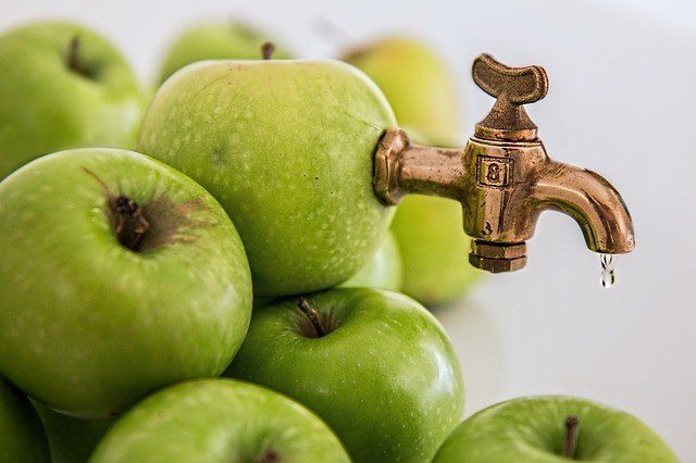 jablko - Jablka a jejich jedinečné přínosy. Od srdečních chorob, až po péči o zuby a pokožku