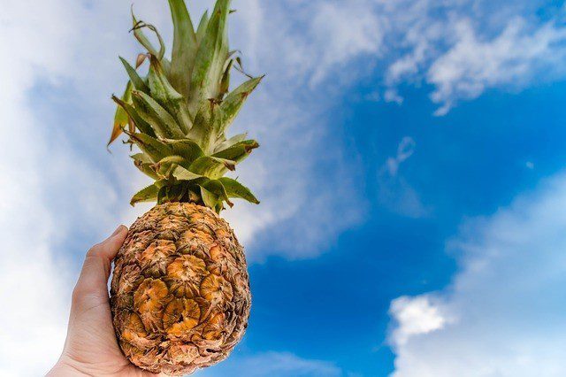 ananas - Historie ananasu – jak dostal své jméno?