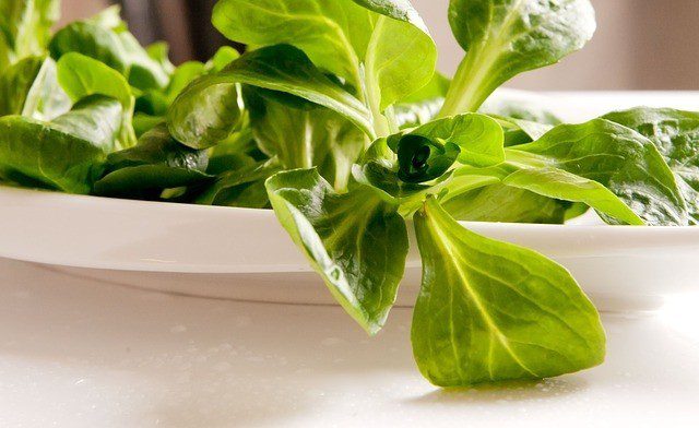polníček salát - Co jsou to salátové bylinky