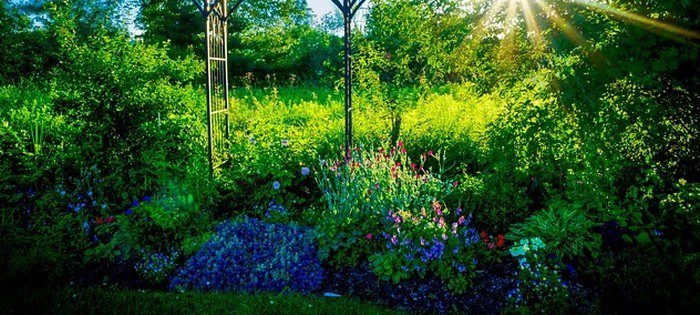 barevná zahrádka - Vypěstujte si zahradu dle kombinace květin