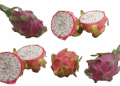 pitahaya