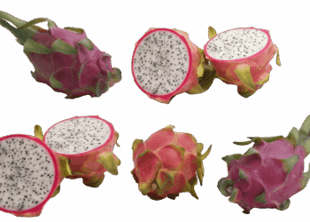 pitahaya