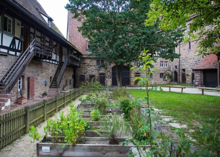 bylinková zahrádka