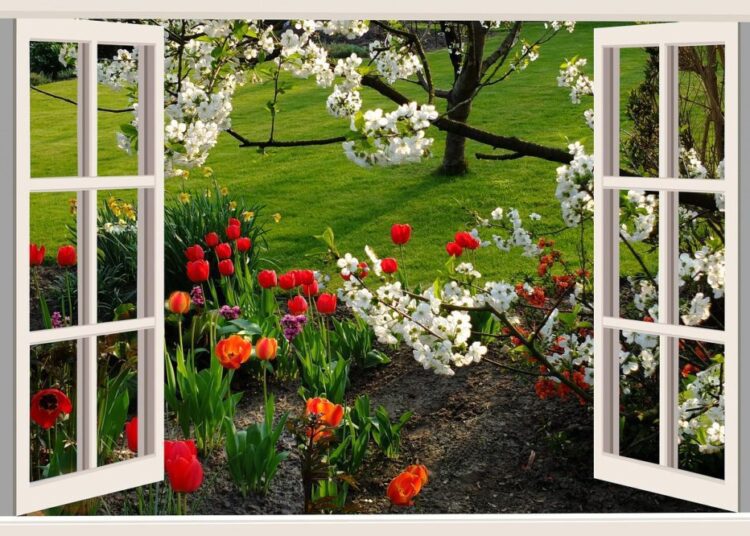 květiny - výhled z okna