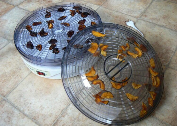 sušička ovoce