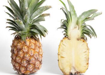 ananas