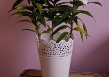 okrasný květináč