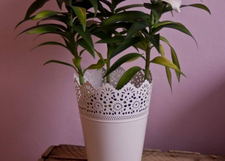 okrasný květináč