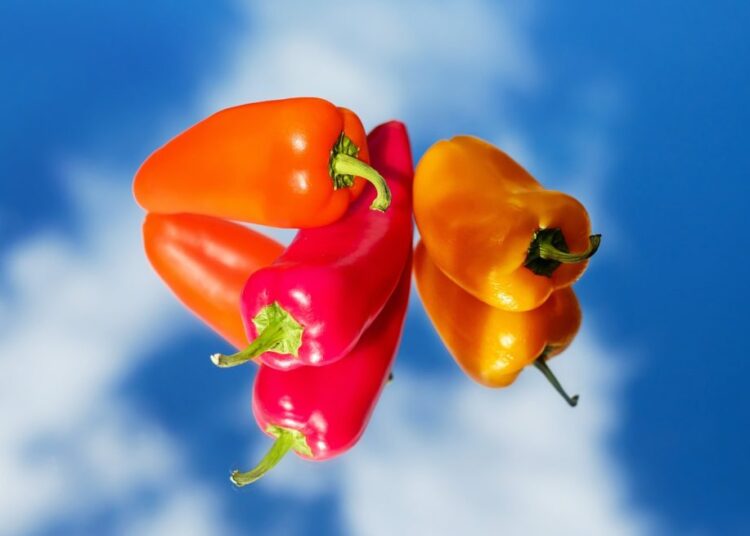 paprika 1589670 1280