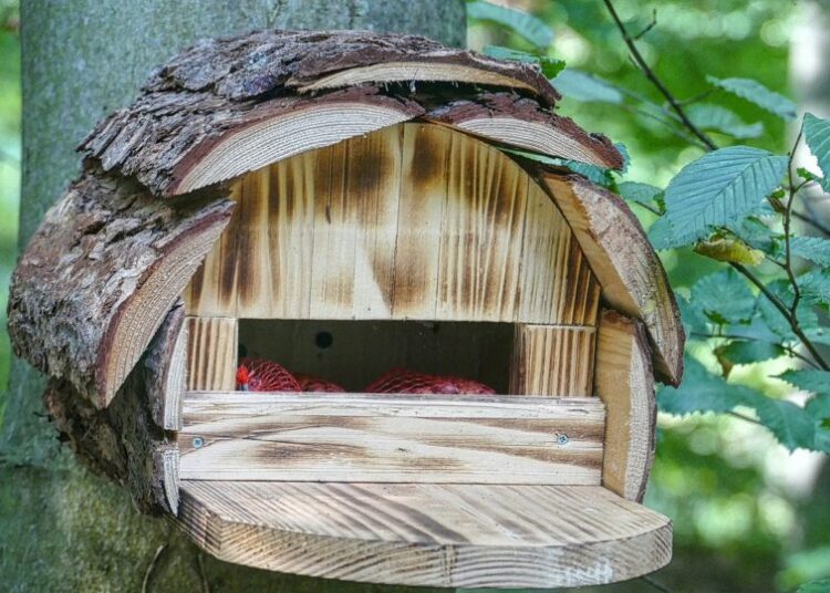 krmítka pro ptáky 2