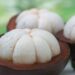 mangostan