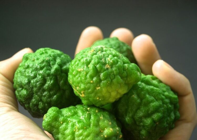 bergamot