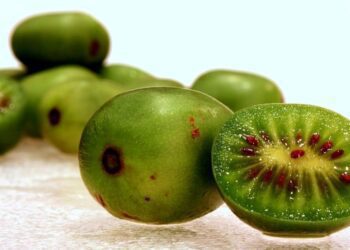 kiwi