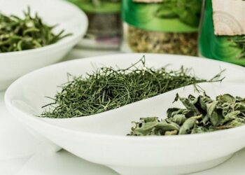 provensálské koření