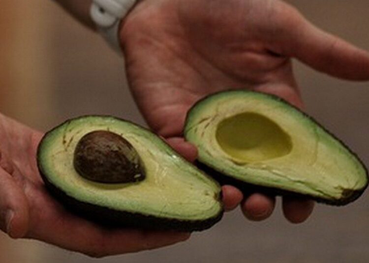 avokádo t