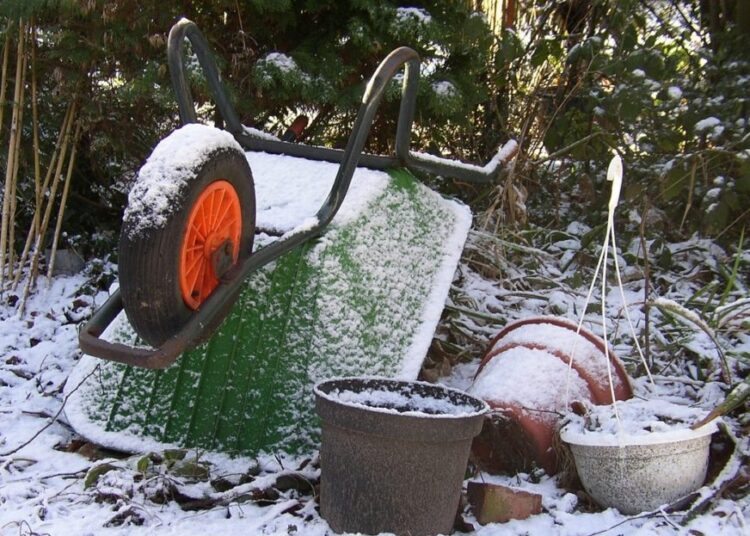 prace na zahrade v zime t