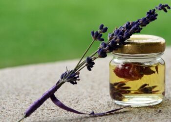 olej levandule
