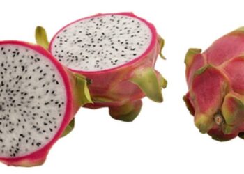 pitahaya