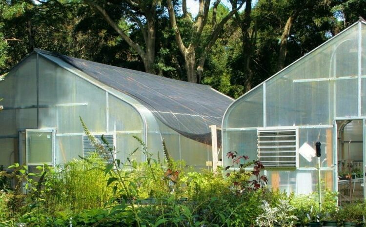 sklenk polykarbonát t