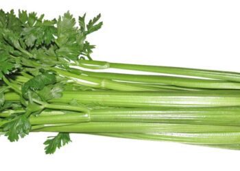 celery