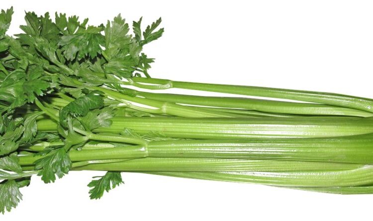 celery