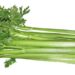 celery