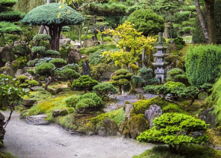 japonská zahrada