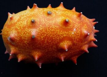 kiwano ovoce