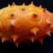 kiwano ovoce