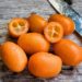 kumquat