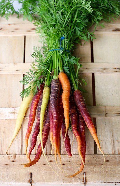 barevná mrkev - Barevná mrkev a co jste o ní nevěděli – pěstování, zdravotní účinky, odrůdy