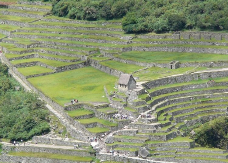 inkové zemědělství