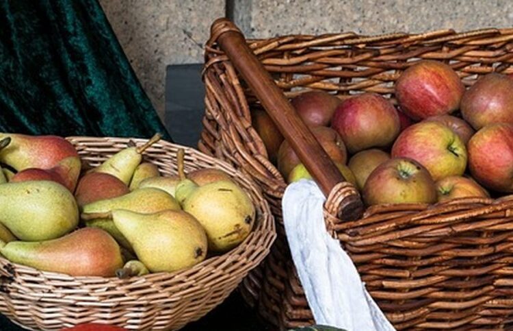 jablka hrušky