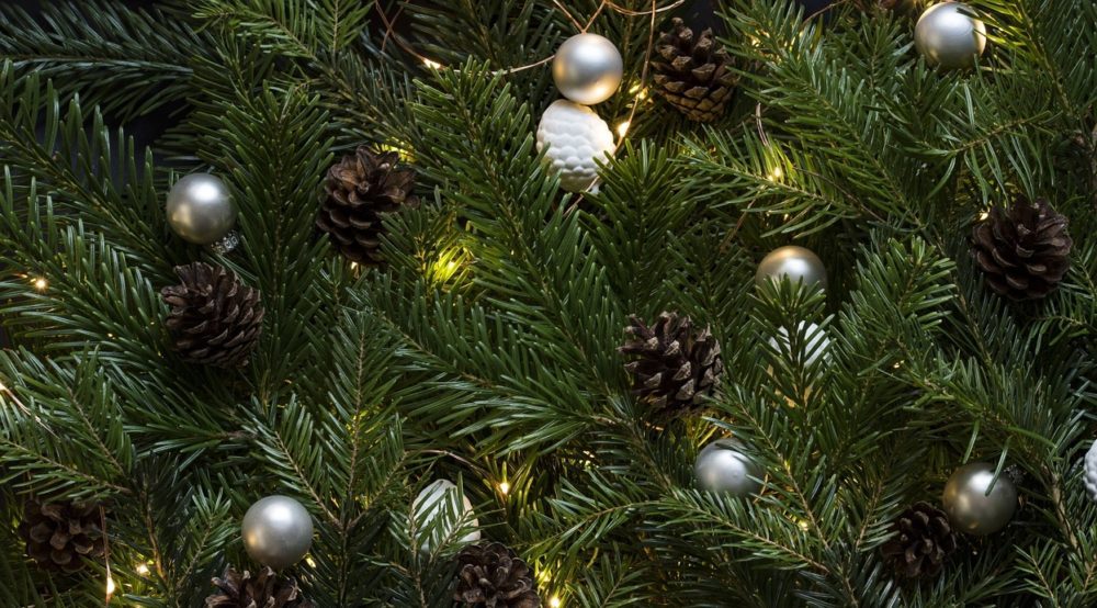 stromek - Nejlepší jehličnany pro alergiky aneb jak vyzrát na Vánoce