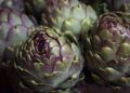 artichoke