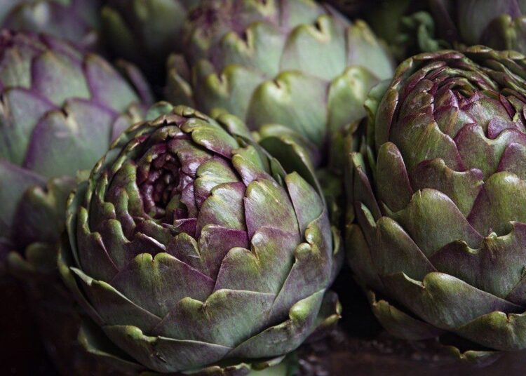 artichoke