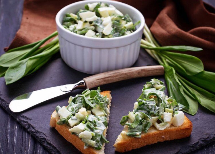 cesnek medvedi salat