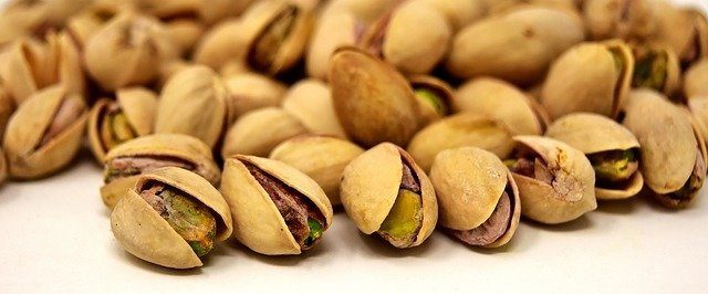 pistacie - Řečík pistácie aneb jak se pěstují oblíbené ořechy