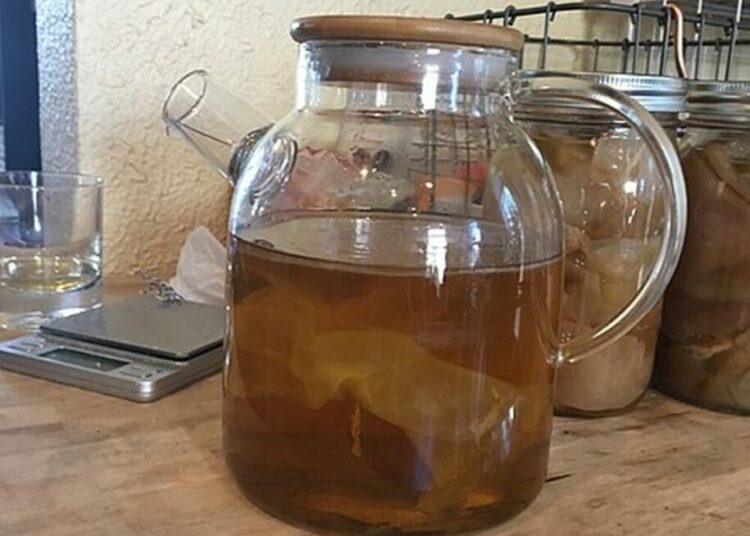 kombucha lahev