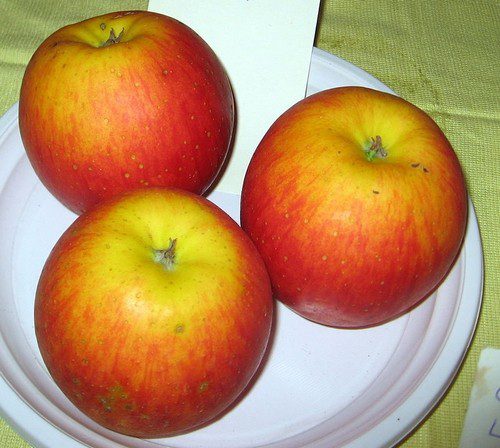 jablka rubin - Jak sklízet a skladovat jablka, aby vydržela celou zimu