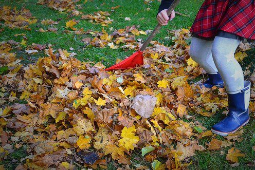 listi - Hrabat, nebo nehrabat listí na podzim – to je oč tu běží