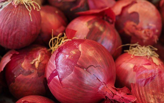 cibule cervena - Odrůdy cibule – které jsou vhodné na výsev, které ze sazečky, které jsou jarní a které ozimé
