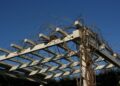 pergola drevo