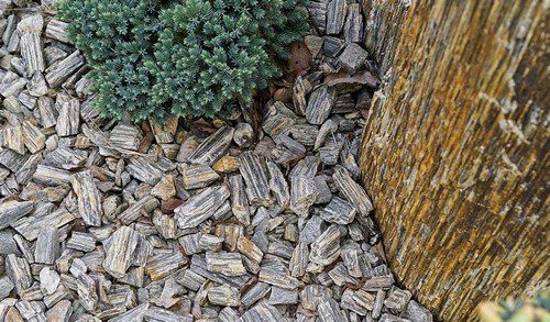 kura z kamene - I kamenné okrasy zahrady vám mohou přinést kýžený efekt – a nemusíte ihned budovat skalku. Pomůže vám i kamenivo.