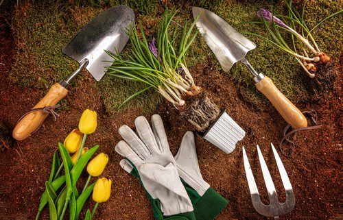 spring gardening concept - Co udělat pro to, aby jaro požehnalo také vaši zahradu