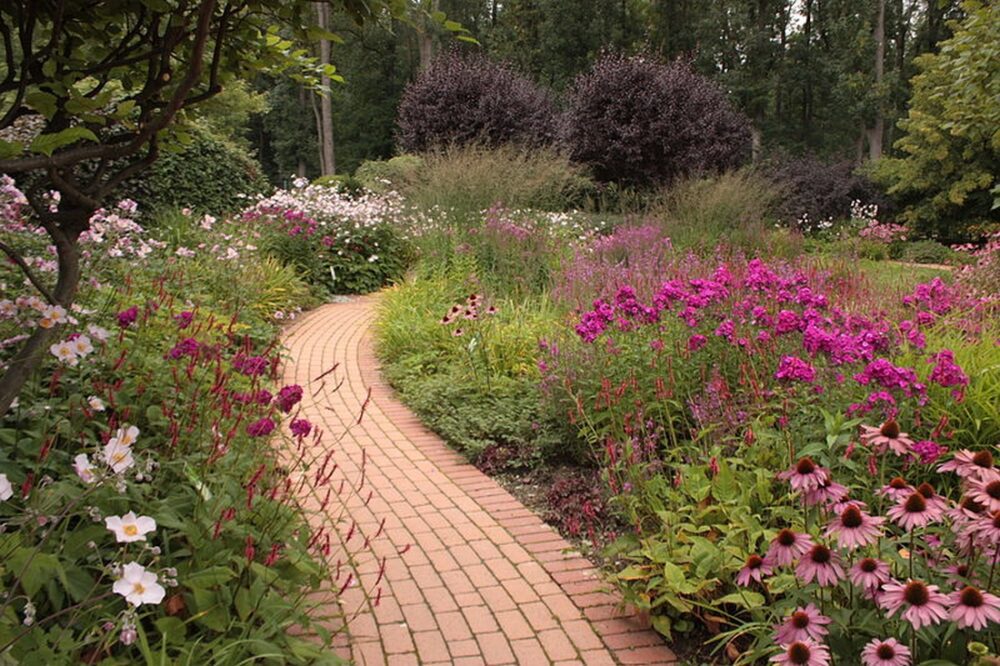 zahrada - Jak na bezúdržbovou zahradu – základem je trávník, květiny a keře