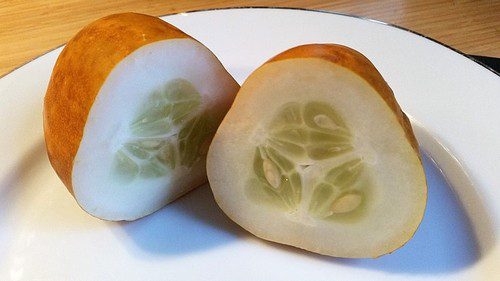 citronove okurky - Citronová okurka: jak na její pěstování v domácích podmínkách