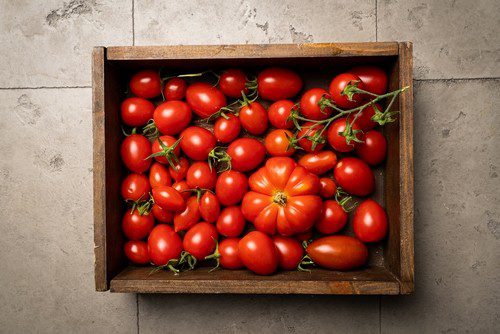 rajcata plody - Máte malou zahradu? Pěstujte rajčata v pytlích nebo květináčích!