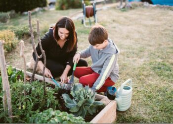 Vegetable garden