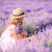 Woman in lavender flowers field in white dress and hat